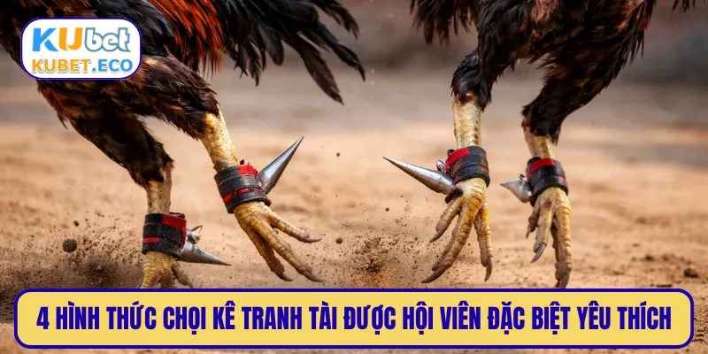 4 hình thức chọi kê tranh tài được hội viên đặc biệt yêu thích