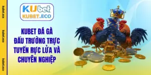 kubet đá gà